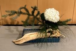 Expressions of the Moon Show