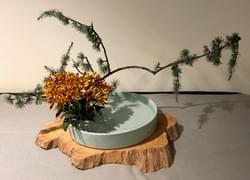 Expressions of the Moon Show