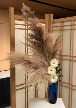 Expressions of the Moon Show