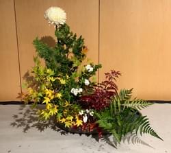 Expressions of the Moon Show