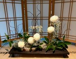 PJG's Cultural Corner demonstration 