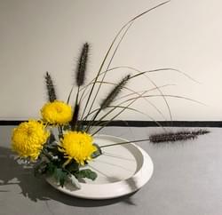 Expressions of the Moon Show