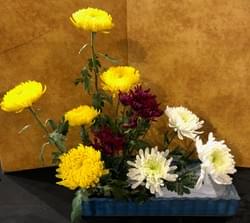 Chinese Garden demonstration