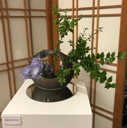 Expressions of the Moon Show