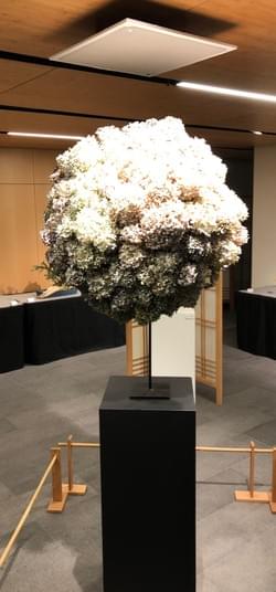 Expressions of the Moon Show