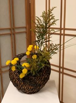 Expressions of the Moon Show