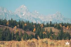 TETONS 08