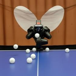 ROBOT BUTTERFLY AMICUS PRIME