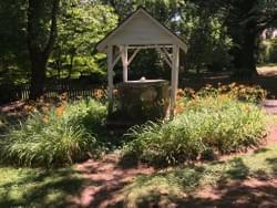 Grounds-The Old Well