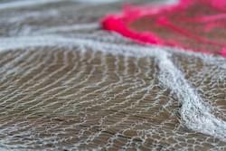 photp: Kenta Onoguchi