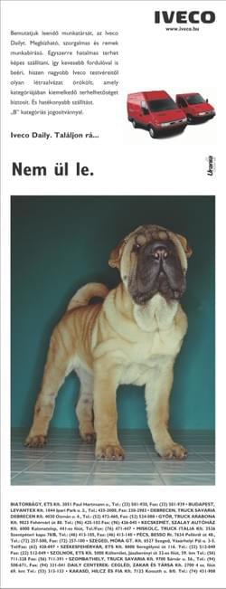 Iveco sajtóhirdetés
