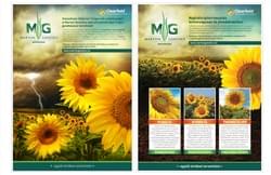 Marton Genetics napraforgó sajtókampány