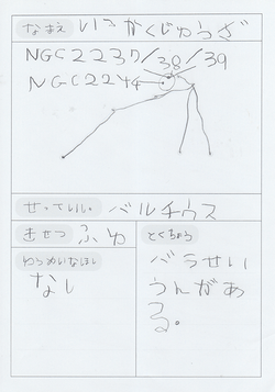 いっかくじゅう座