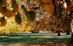 Autumn, Christchurch
