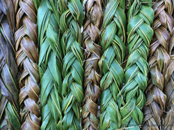 Woven Fence, Kiribati