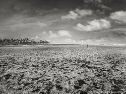 Low tide, Tarawa