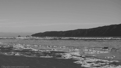 Winter Beach