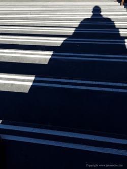 Selfie, Wellington