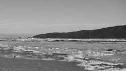 Winter Beach
