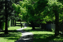 Sanctuary in the City