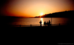 Early start for school, Wellington