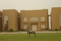 Chalets for Mr Nasser Al Kharafi at Bneidar, Kuwait