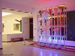 MARTE (Museo de Arte Contemporaneo de San Salvador)