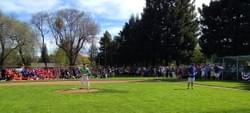 Little League First Pitch
