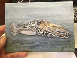 MBAで発見したポストカード．迷わず購入．