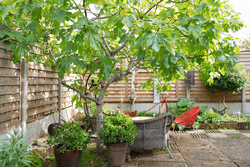 espace corps et mieux être