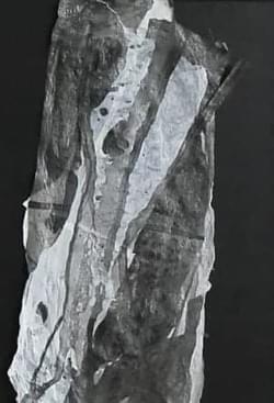 Peeling Gum - 30 x 33cm