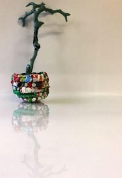 Bonsai Interpretations