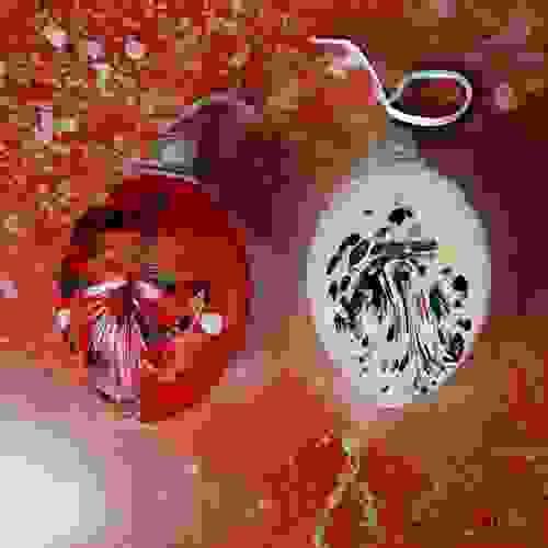 Vintage Pair of Glass Hand-Painted Baubles
