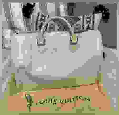 Louis Vuitton Speedy 35 (used)