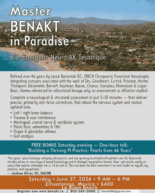 BENAKT SEMINAR - ZIHUATANEJO, MX
