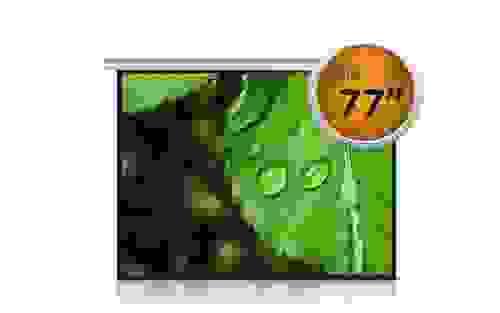 Pantalla para proyector 77'' 16:9