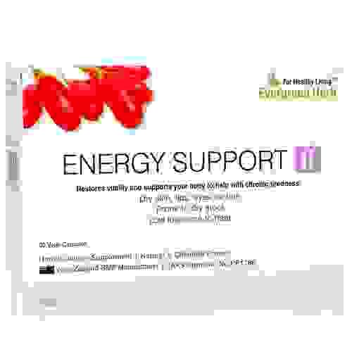 Energy Support II