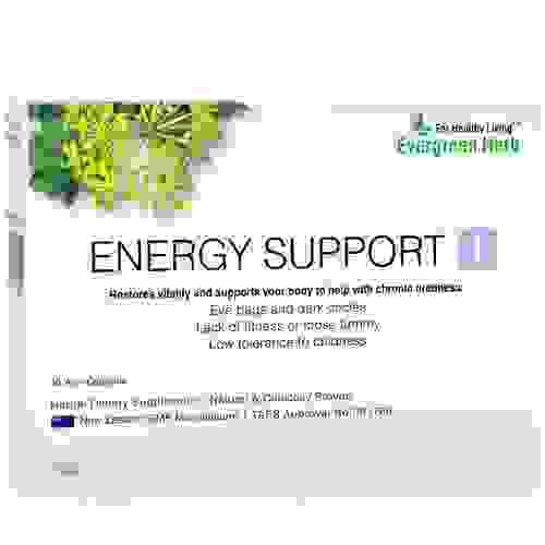 Energy Support I