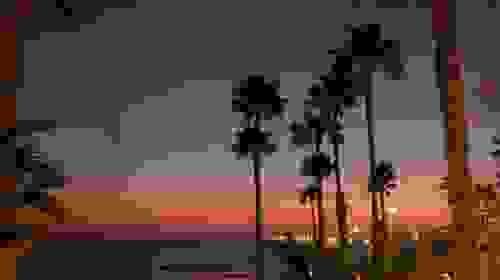 Cotton T-Shirt 多图、合集视频