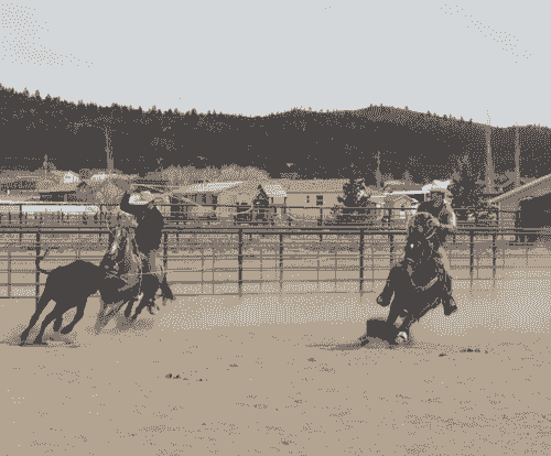 Gavin Beattie Roping Clinic