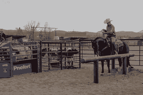 Riding Lessons