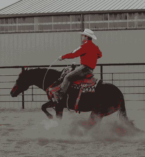 Individual Roping Lessons
