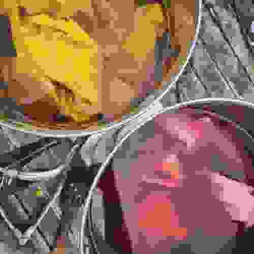Introduction to Natural Dye: A Beginner's Natural Colour Workshop (24/1/27)