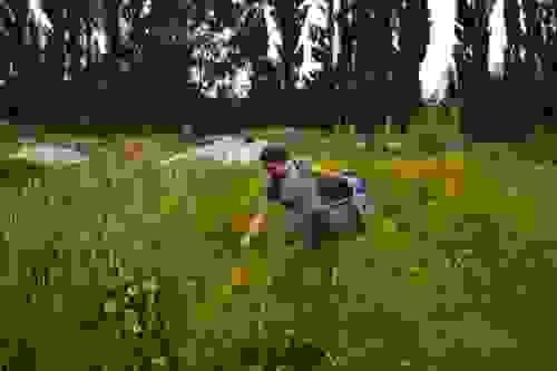Dye Farm Tour