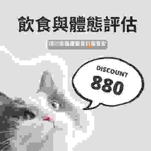 飲食與體態評估（體驗價）