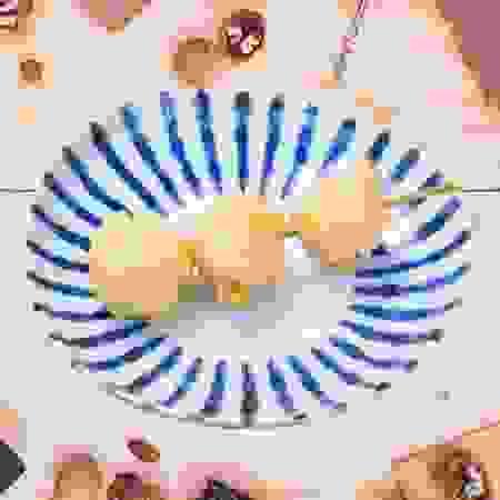 花枝丸