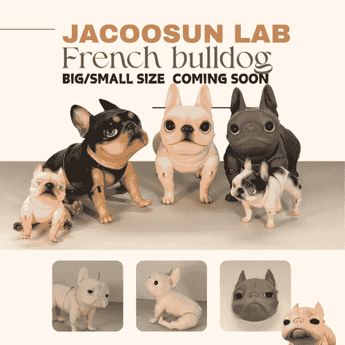 【Pre-Order】JACOOSUN LAB-FRENCH BULLDOG BJD