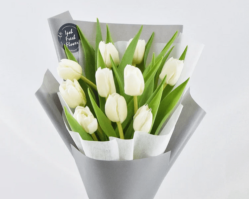 Tulipani Bianchi
