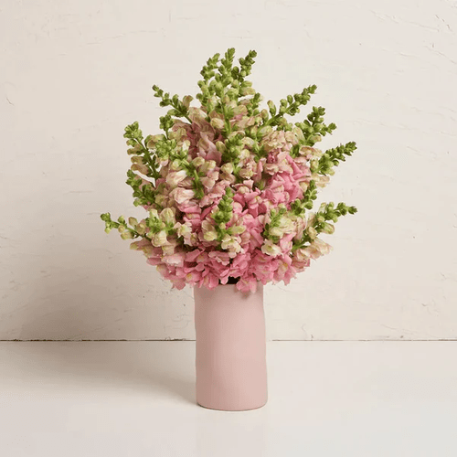 Bouquet misto stabilizzato 1