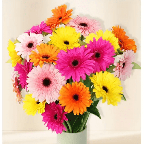 Gerbere Stabilizzate Bouquet